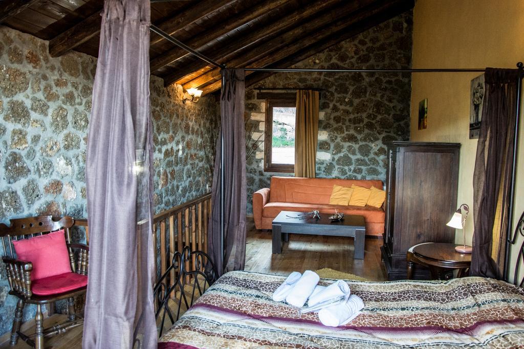 Theasis Suites-Ορεινή Φιλοξενία Kato Sinikia Trikalon Zewnętrze zdjęcie