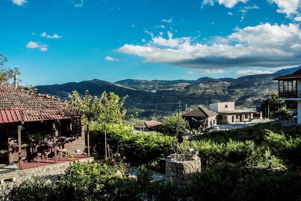 Theasis Suites-Ορεινή Φιλοξενία Kato Sinikia Trikalon Zewnętrze zdjęcie